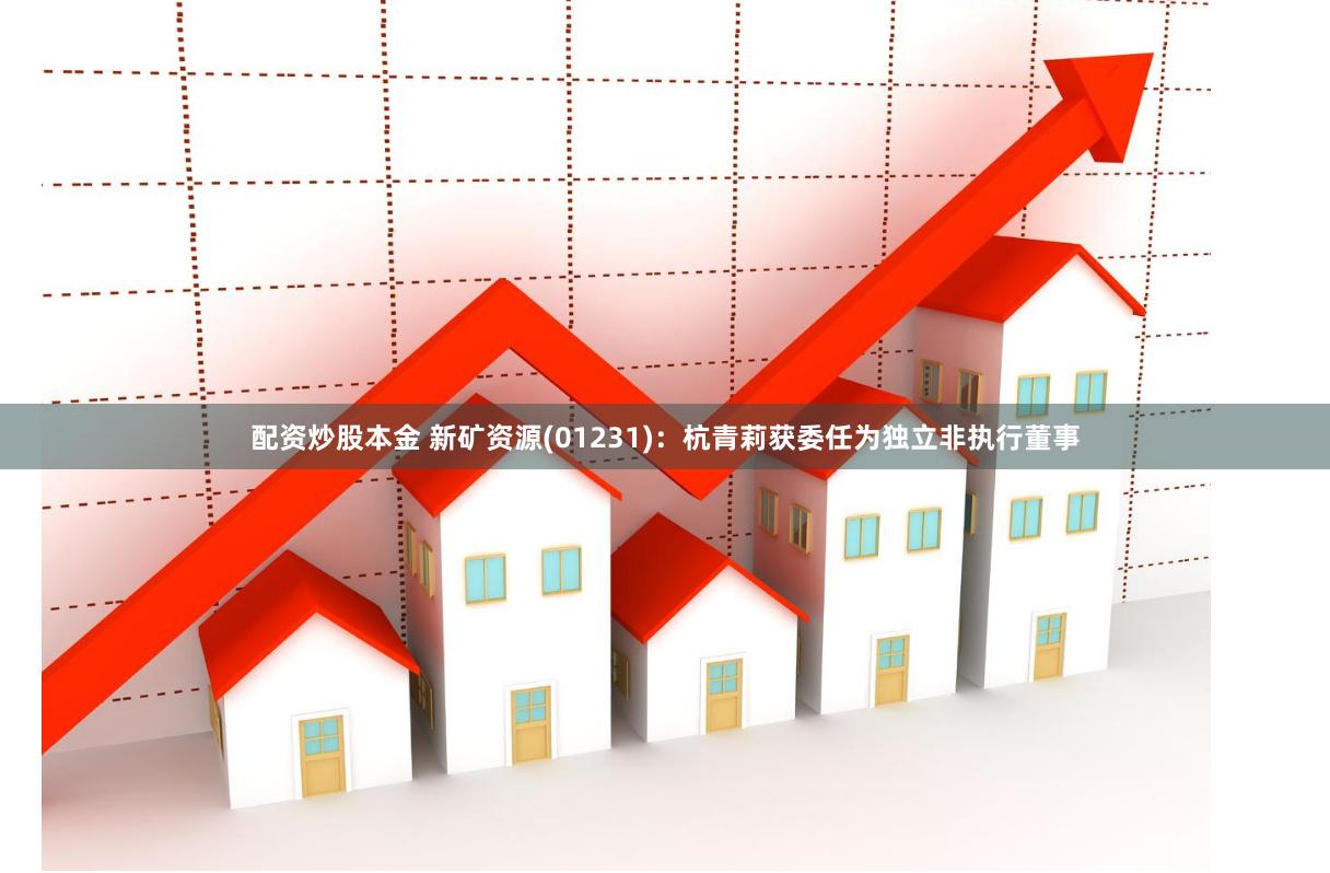 配资炒股本金 新矿资源(01231)：杭青莉获委任为独立非执行董事
