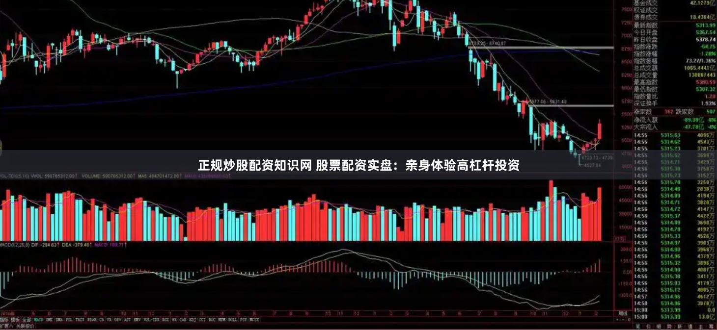 正规炒股配资知识网 股票配资实盘：亲身体验高杠杆投资