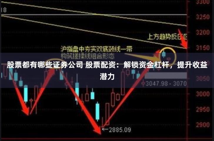 股票都有哪些证券公司 股票配资：解锁资金杠杆，提升收益潜力