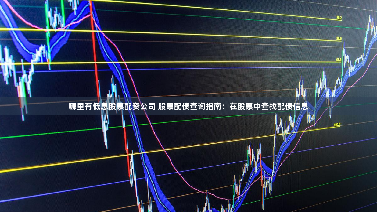哪里有低息股票配资公司 股票配债查询指南：在股票中查找配债信息