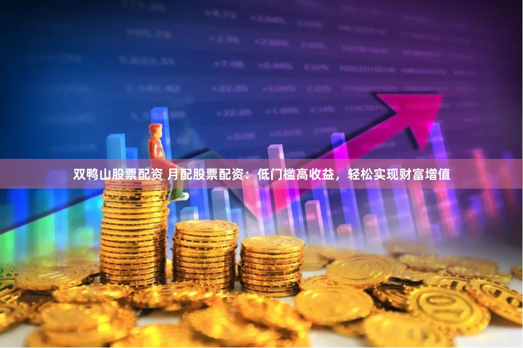 双鸭山股票配资 月配股票配资：低门槛高收益，轻松实现财富增值