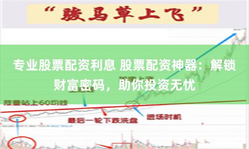 专业股票配资利息 股票配资神器:解锁财富密码,助你投资无忧